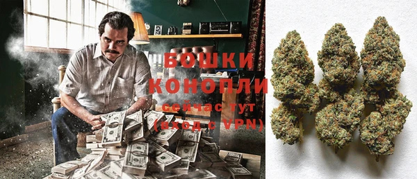 гашик Ладушкин
