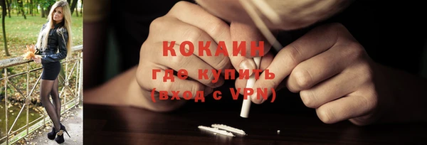 гашик Ладушкин