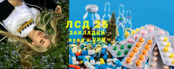 гашик Ладушкин