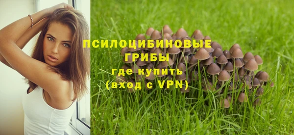 гашик Ладушкин