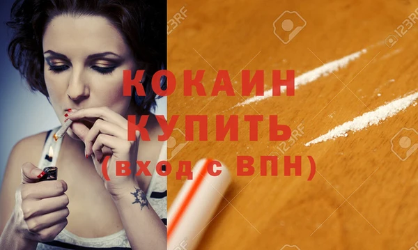 гашик Ладушкин