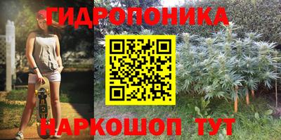 мдма Аргун