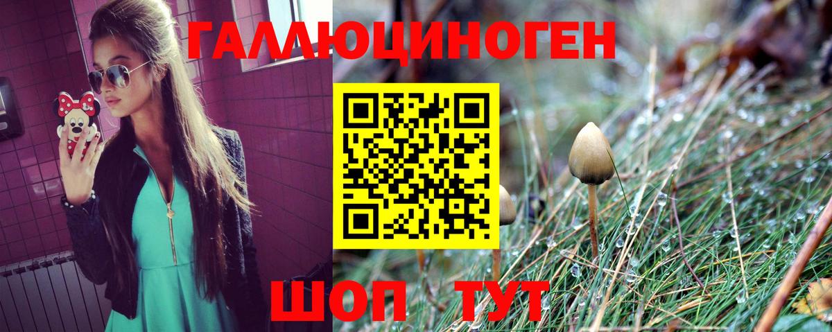 Галлюциногенные грибы мухоморы Бердск