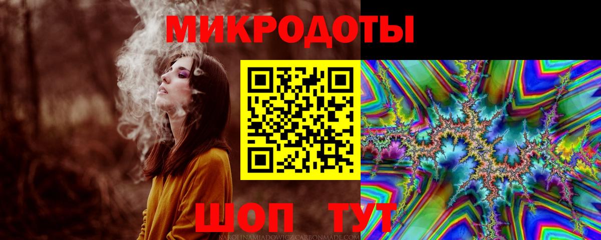 Псилоцибиновые грибы Psilocybine cubensis Бердск