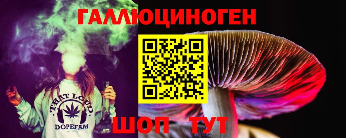 наркошоп  Псилоцибиновые грибы Psilocybine cubensis  Вход с VPN  Бердск 